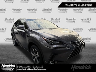 2020 LEXUS NX 300 SUV