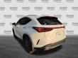 2024 LEXUS NX 350 Premium SUV