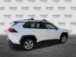 2019 Toyota RAV4 Hybrid LE SUV