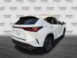 2024 LEXUS NX 350 Luxury SUV