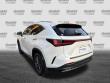 2024 LEXUS NX 350 Luxury SUV