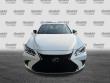 2025 LEXUS ES 350 F SPORT Handling Sedan