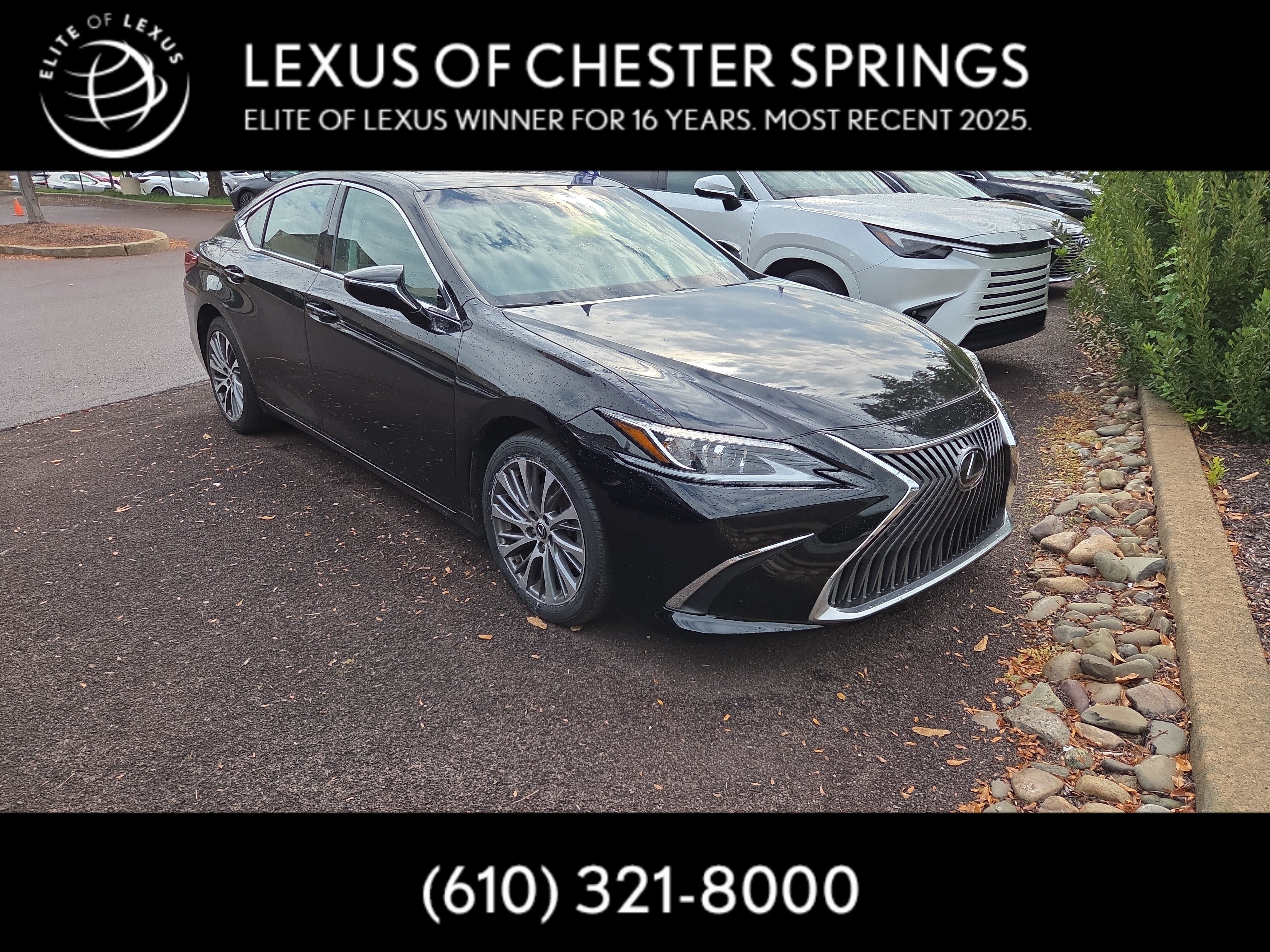 2019 Lexus ES