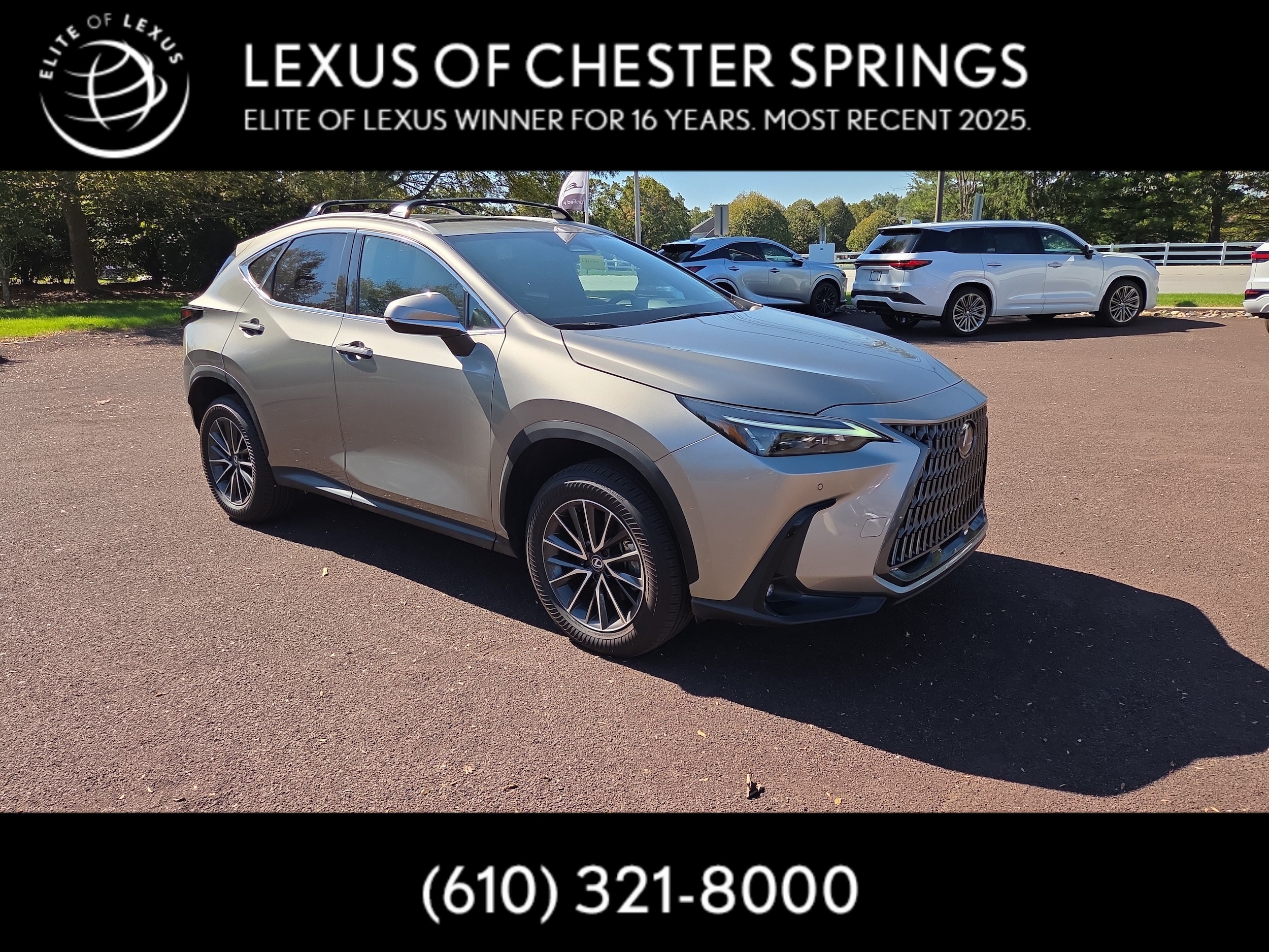 2024 Lexus NX