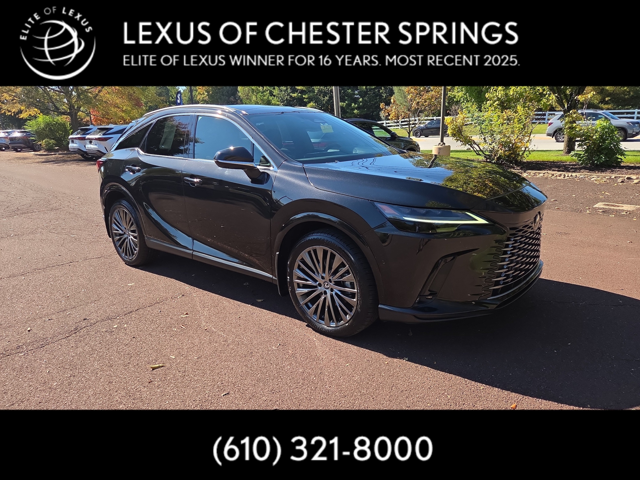 2024 Lexus RX