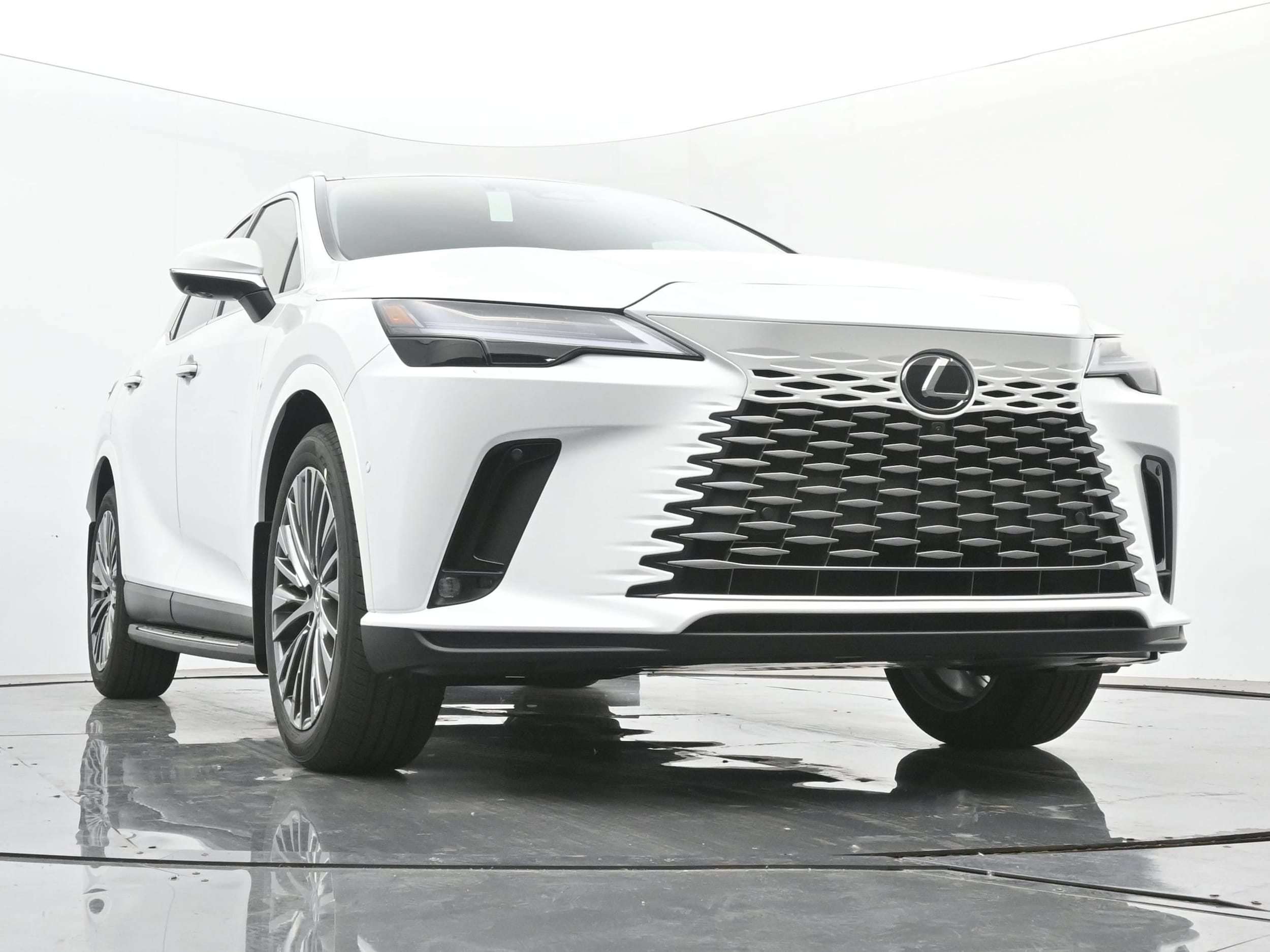 2025 Lexus RX 350 - Photo 21