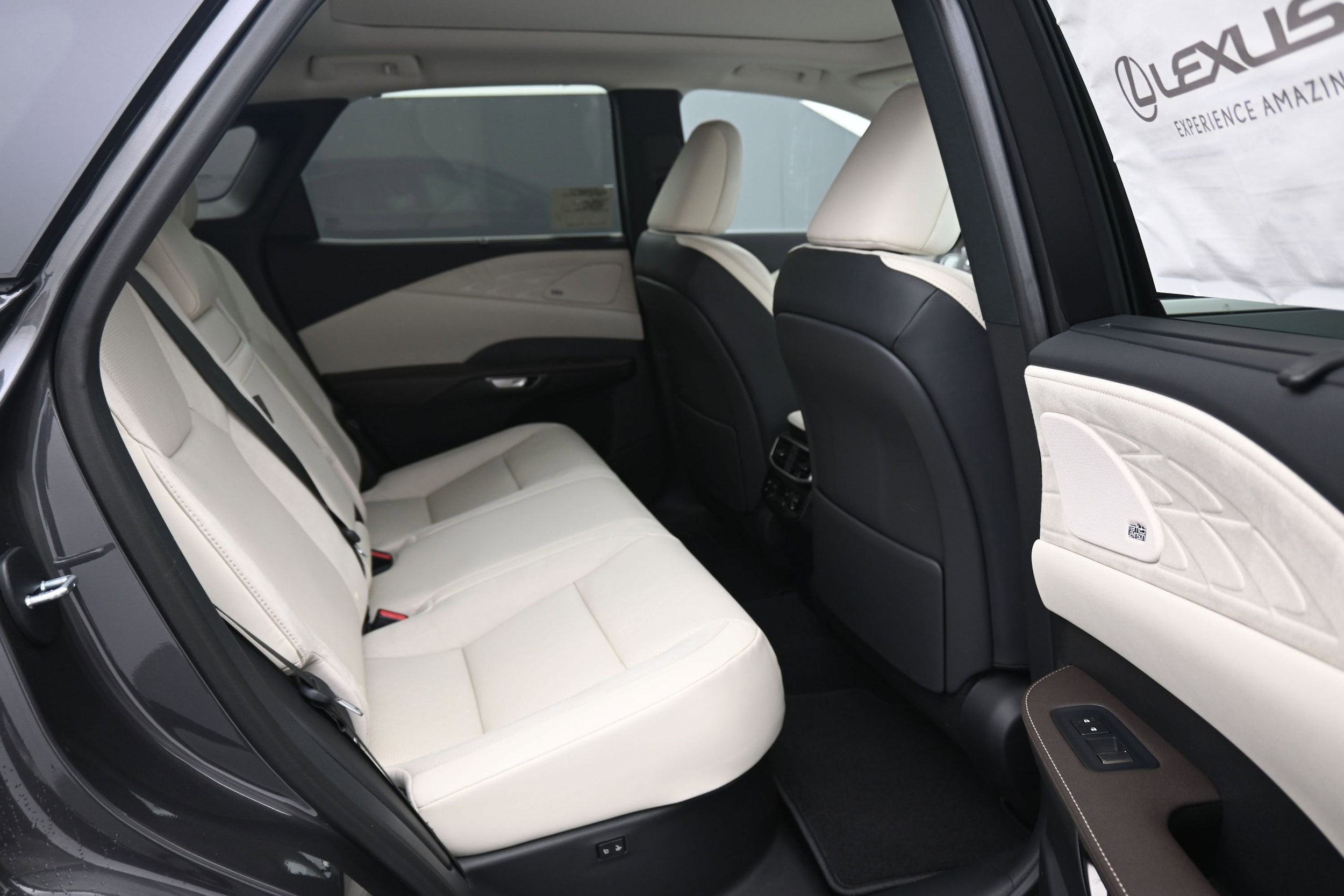 2026 Lexus RX 350 Luxury - Photo 10