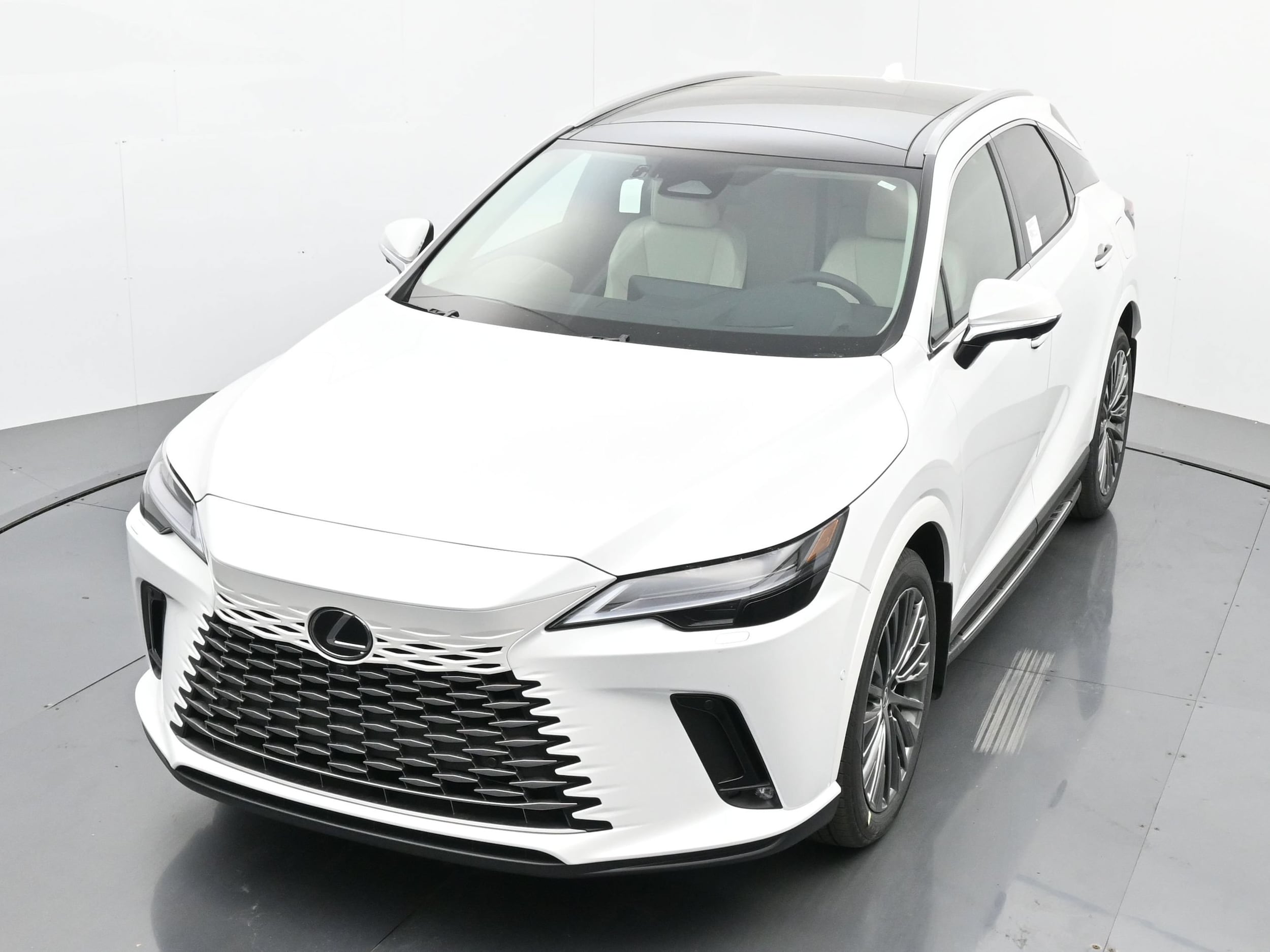 2025 Lexus RX 350 - Photo 22