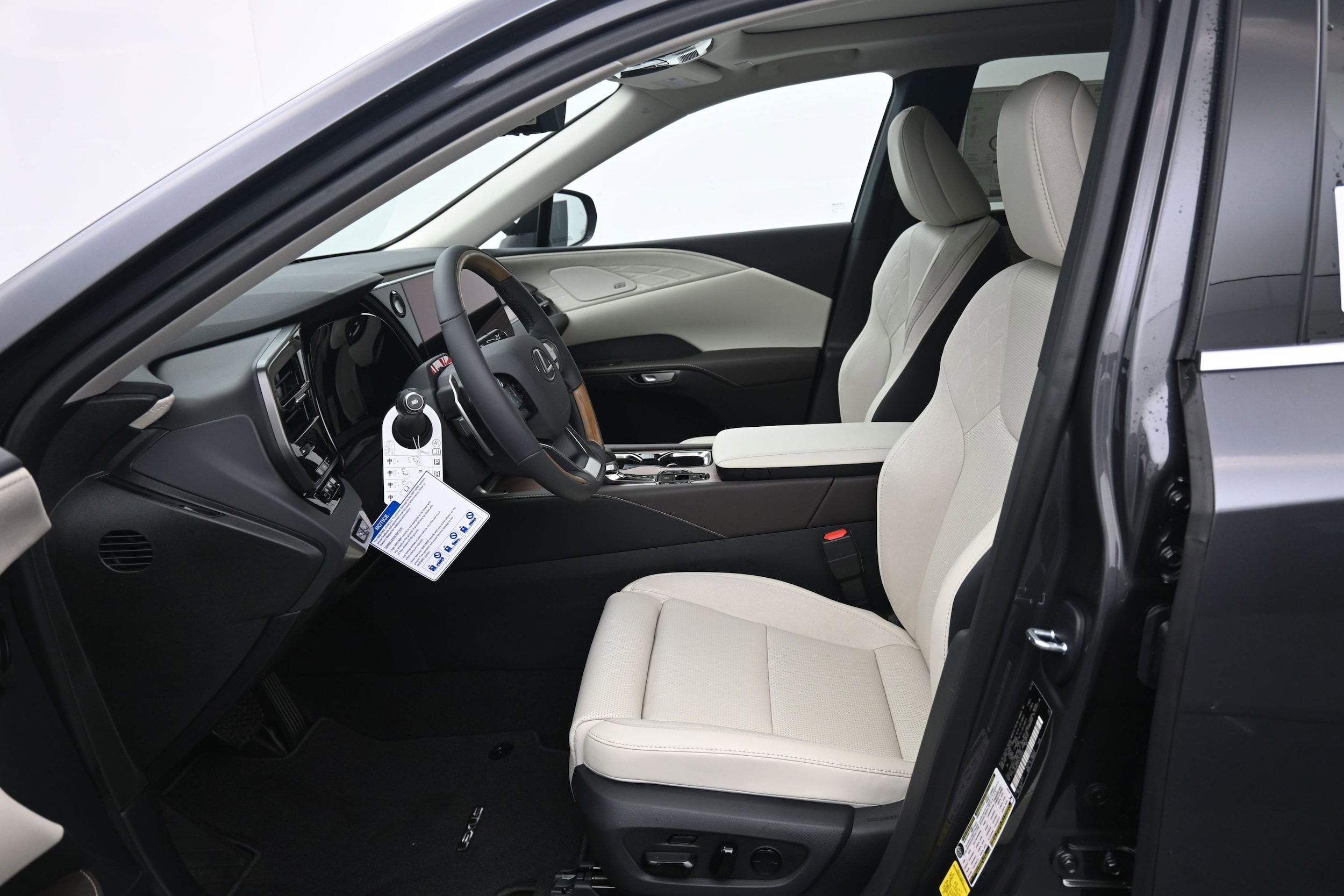 2026 Lexus RX 350 Luxury - Photo 9