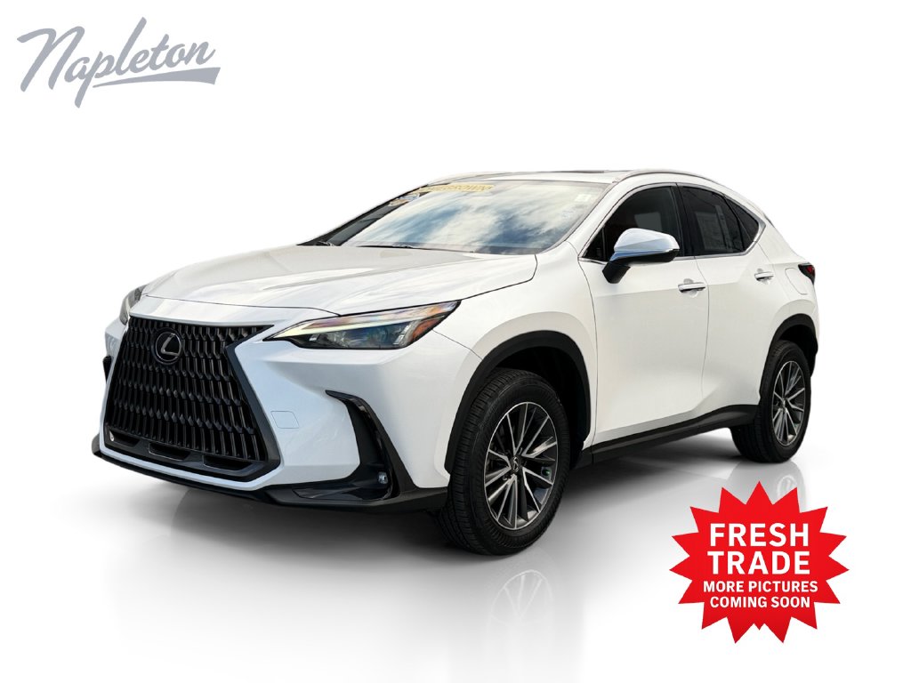 2024 Lexus NX