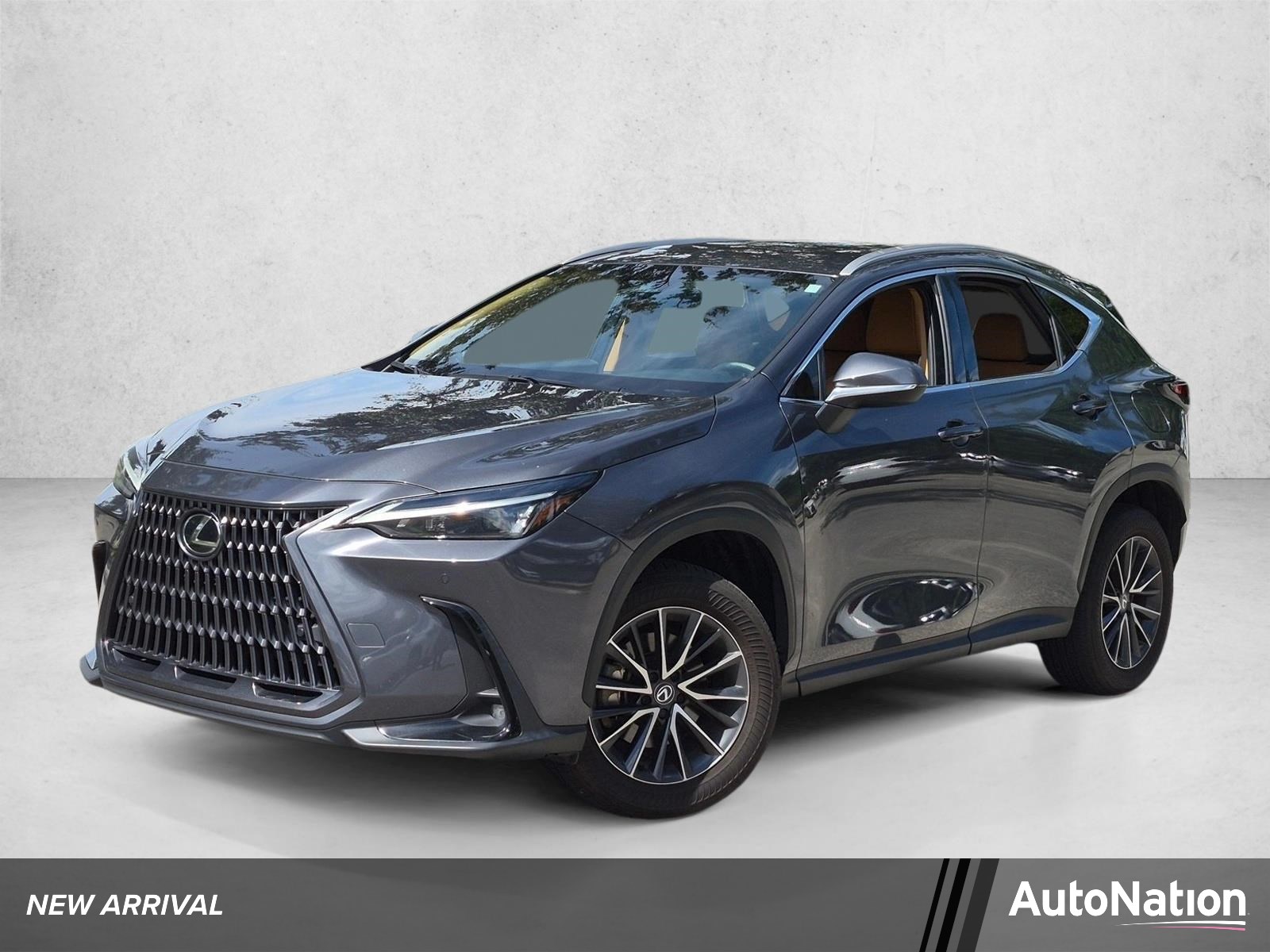  LEXUS NX 250