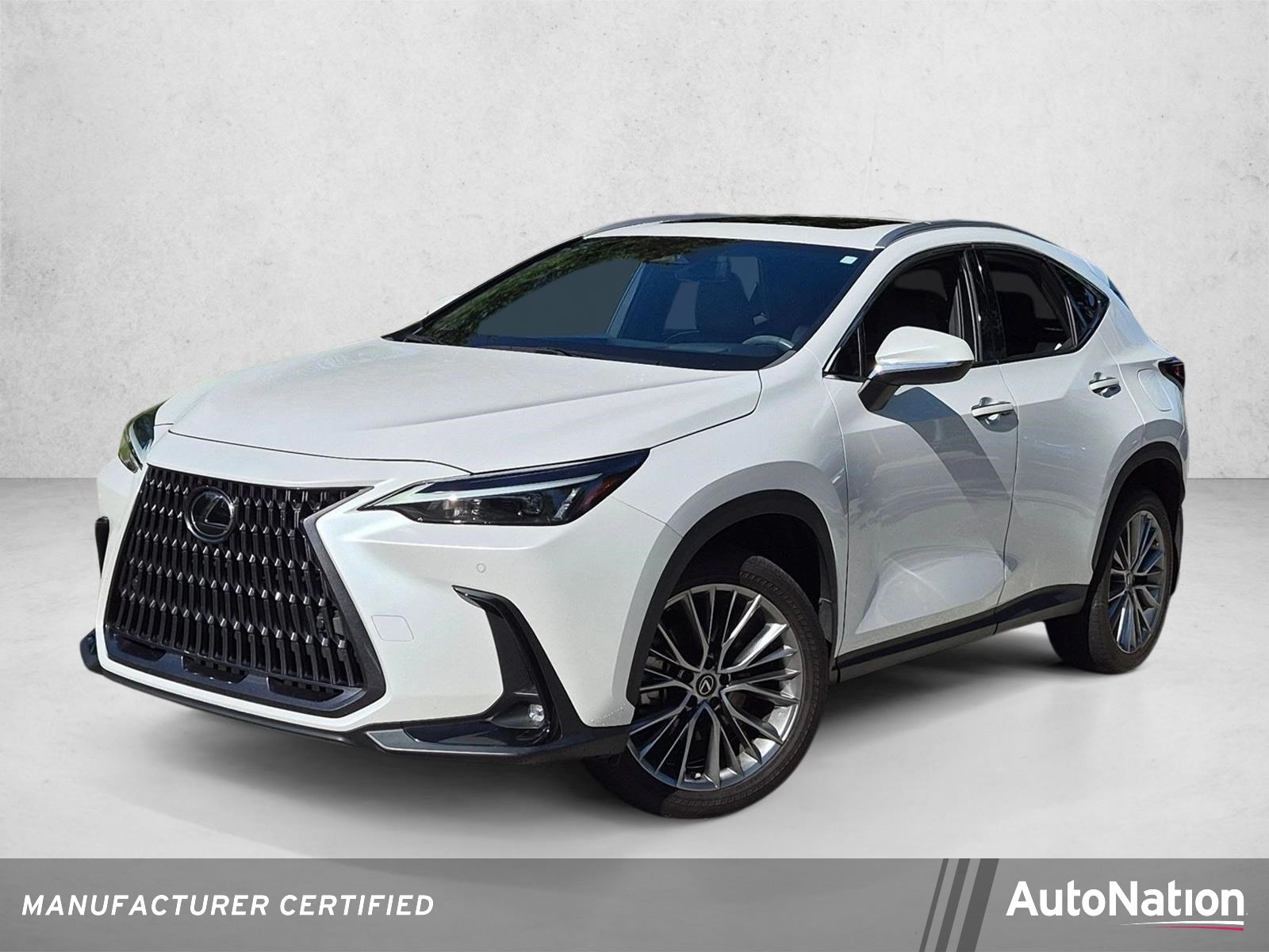 2023 Lexus NX Hybrid