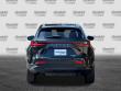 2025 LEXUS NX 350h Premium SUV
