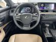 2020 LEXUS ES 300h 300h Sedan