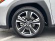 2025 LEXUS UX 300h 300h SUV