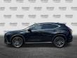 2025 LEXUS NX 350h Premium SUV