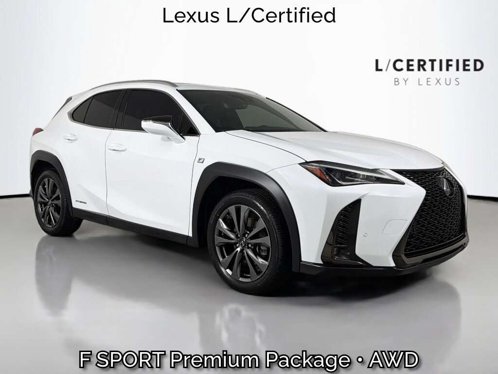 2020 Lexus UX Hybrid