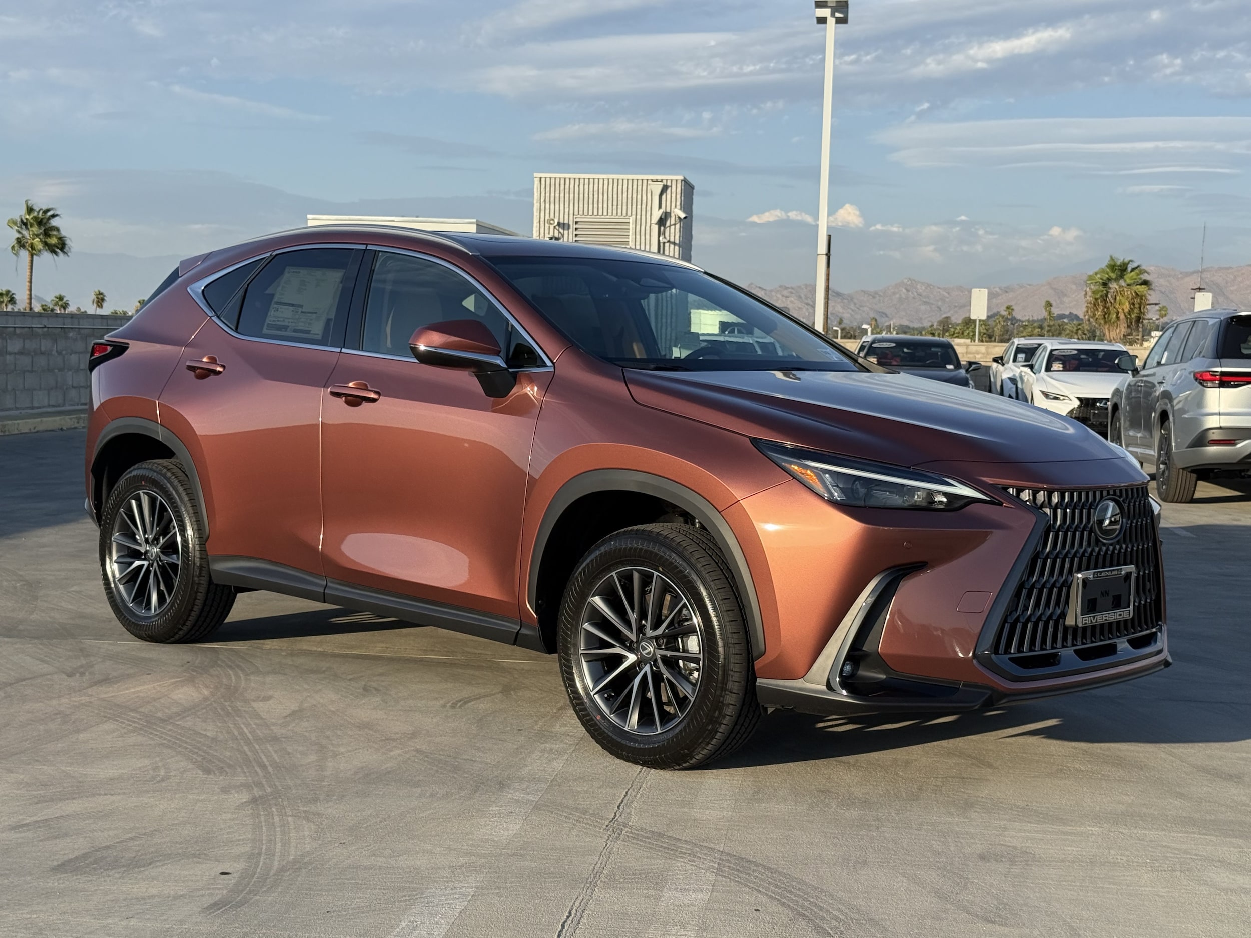 Lexus NX Research Hub | Lexus of Riverside | Riverside, CA