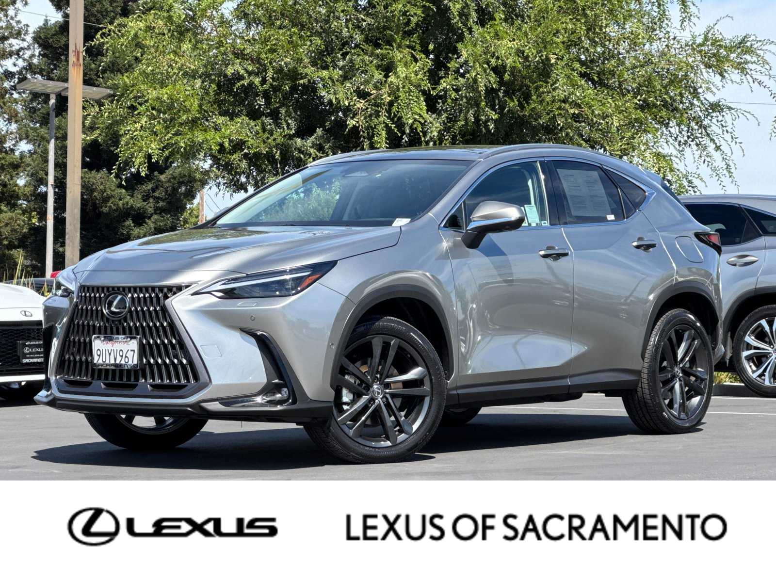 2025 Lexus NX PHEV