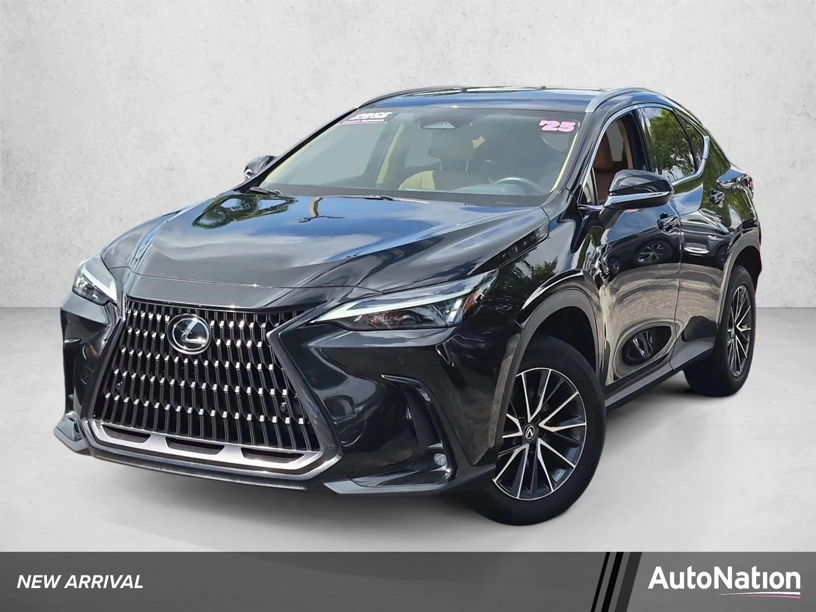  LEXUS NX 250