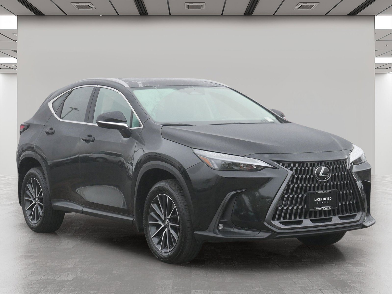 2024 Lexus NX