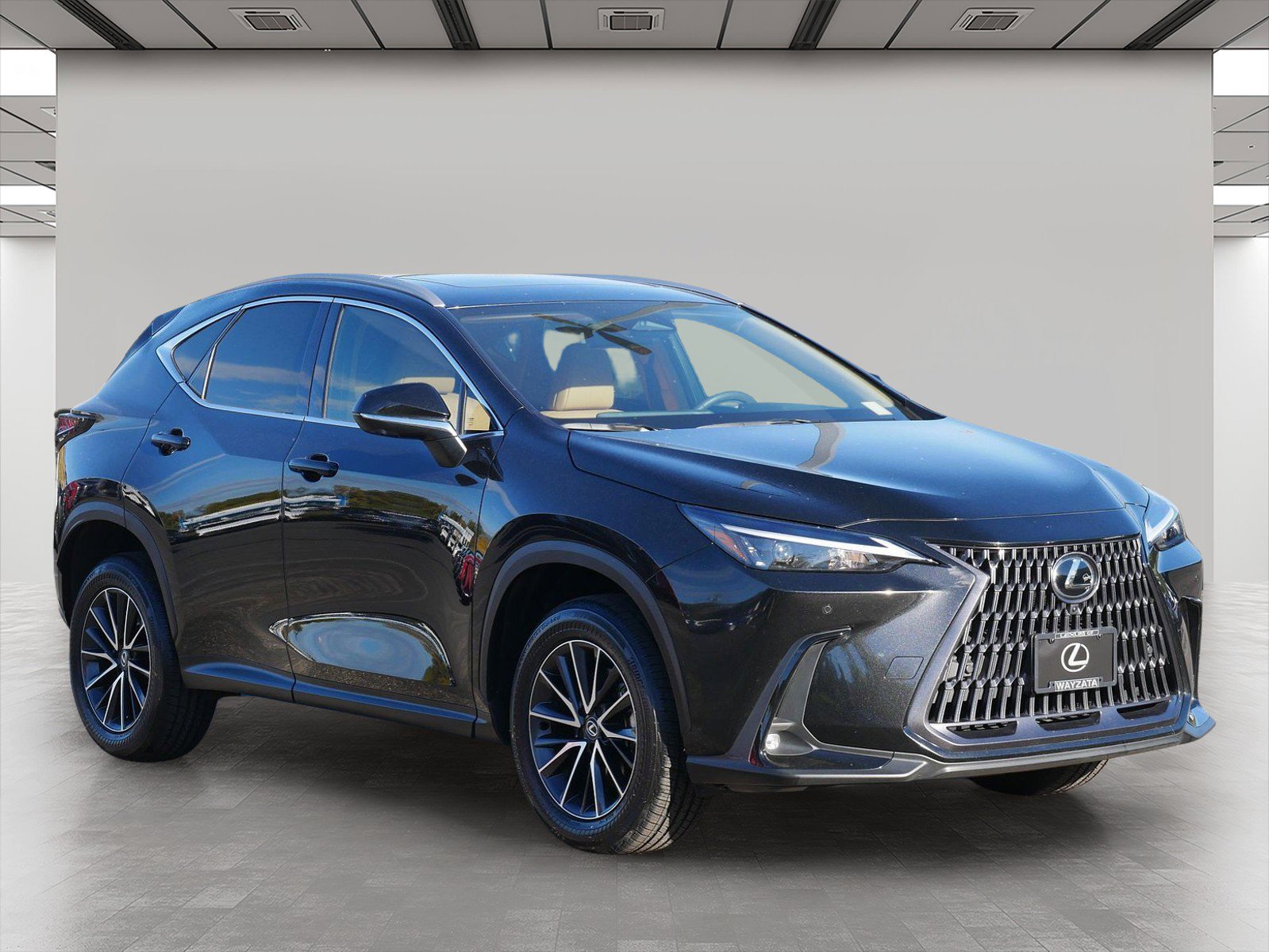 2024 Lexus NX