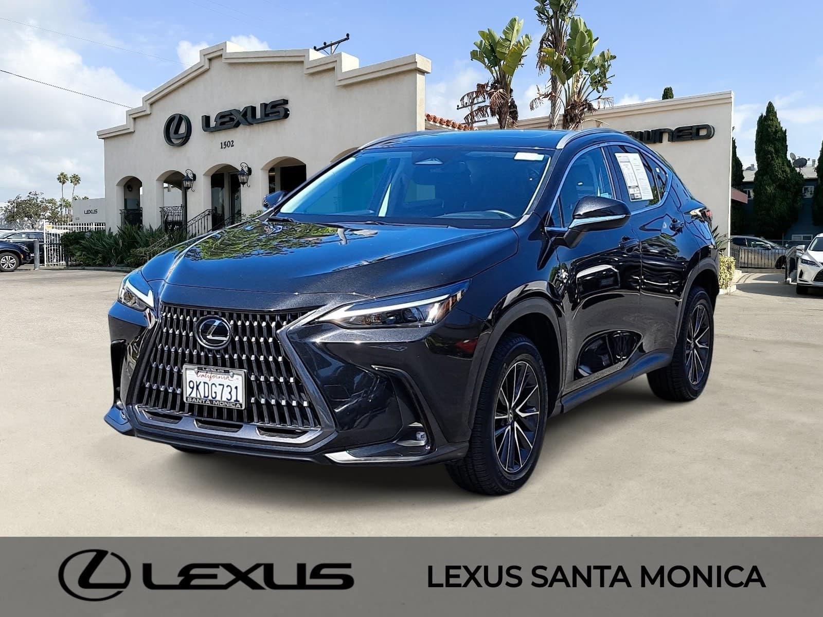 2024 Lexus NX
