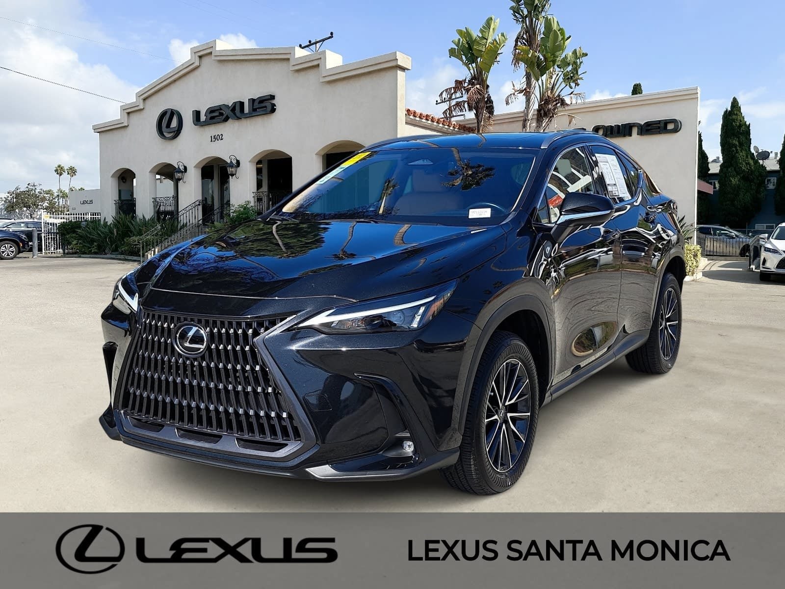 2024 Lexus NX