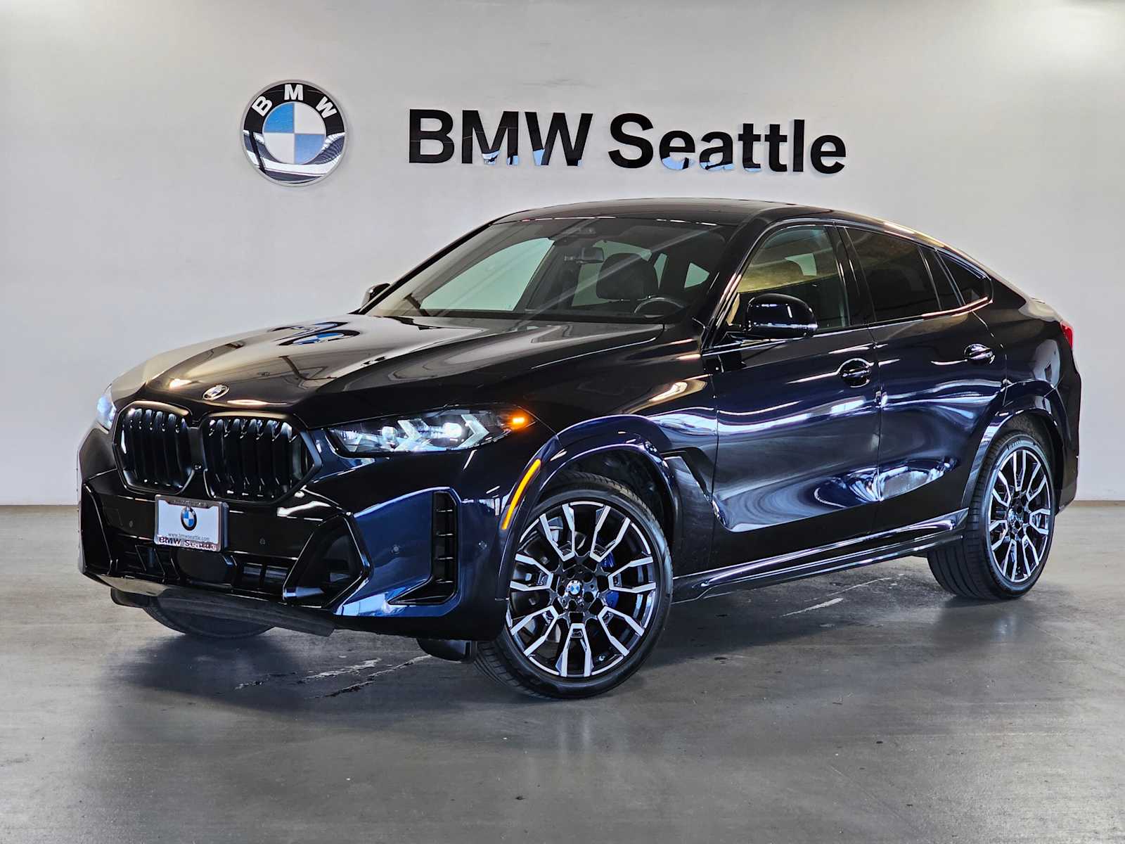 2024 BMW X6