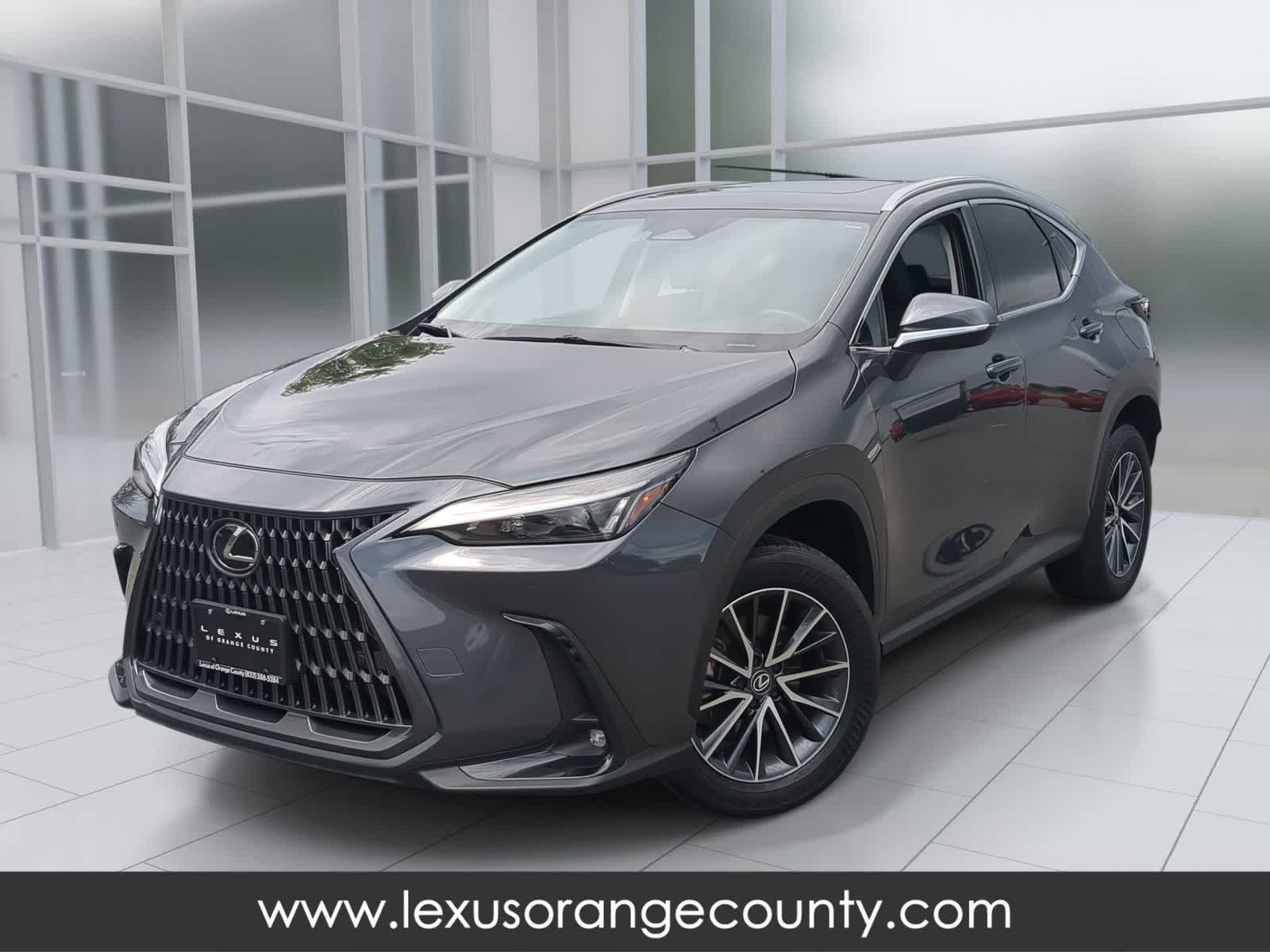 2025 Lexus NX