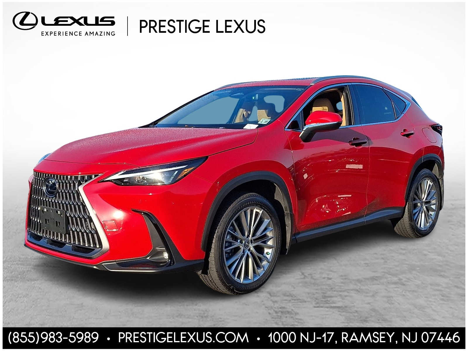 2025 Lexus NX