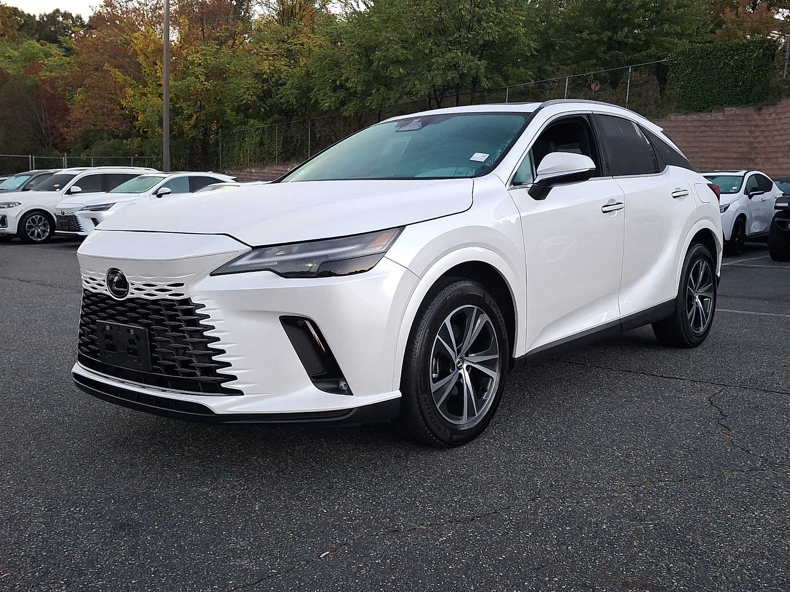 2023 Lexus RX