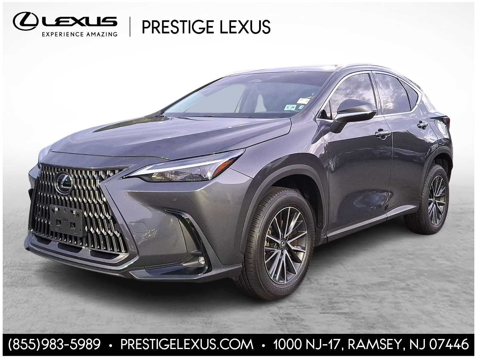 2024 Lexus NX