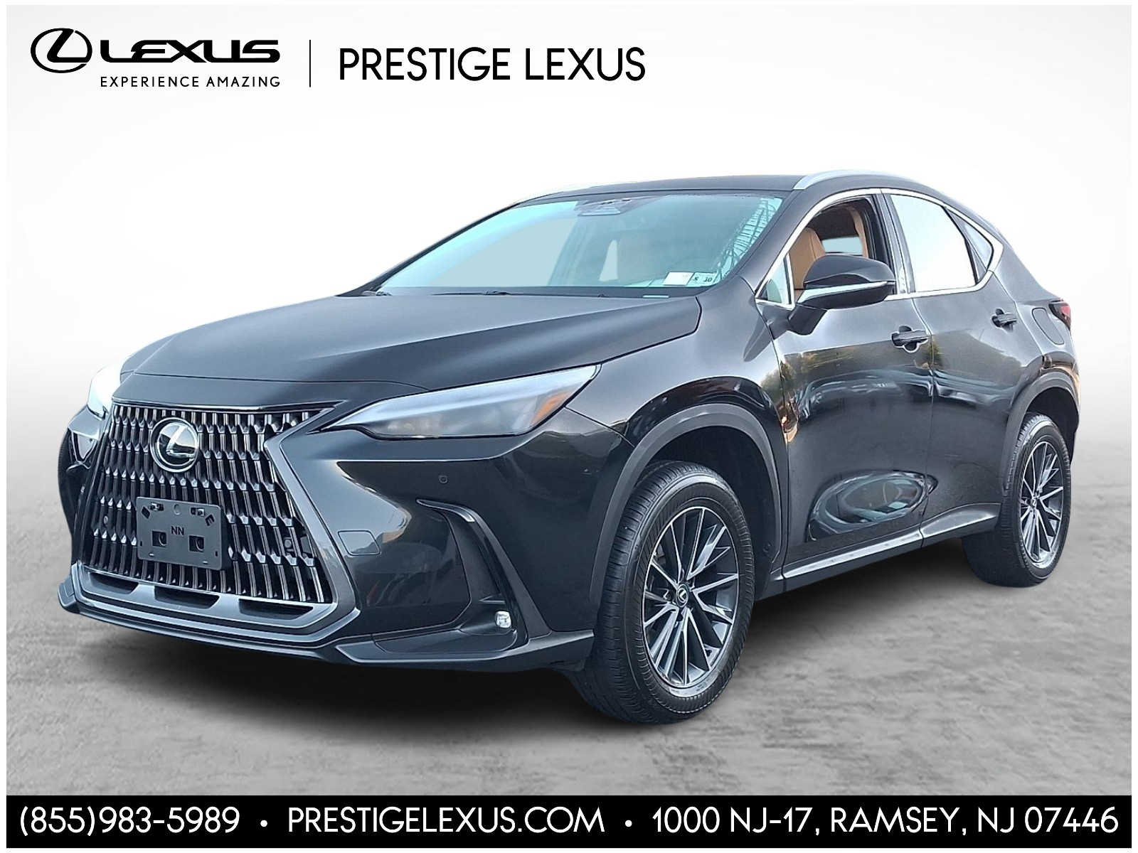 2025 Lexus NX