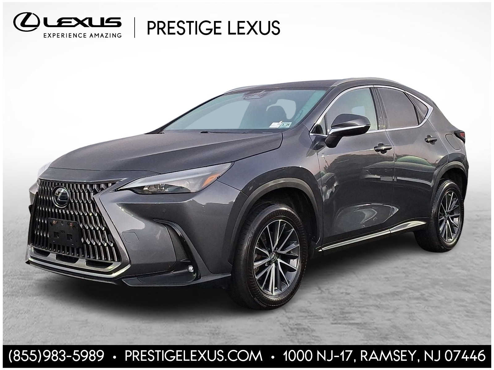 2023 Lexus NX