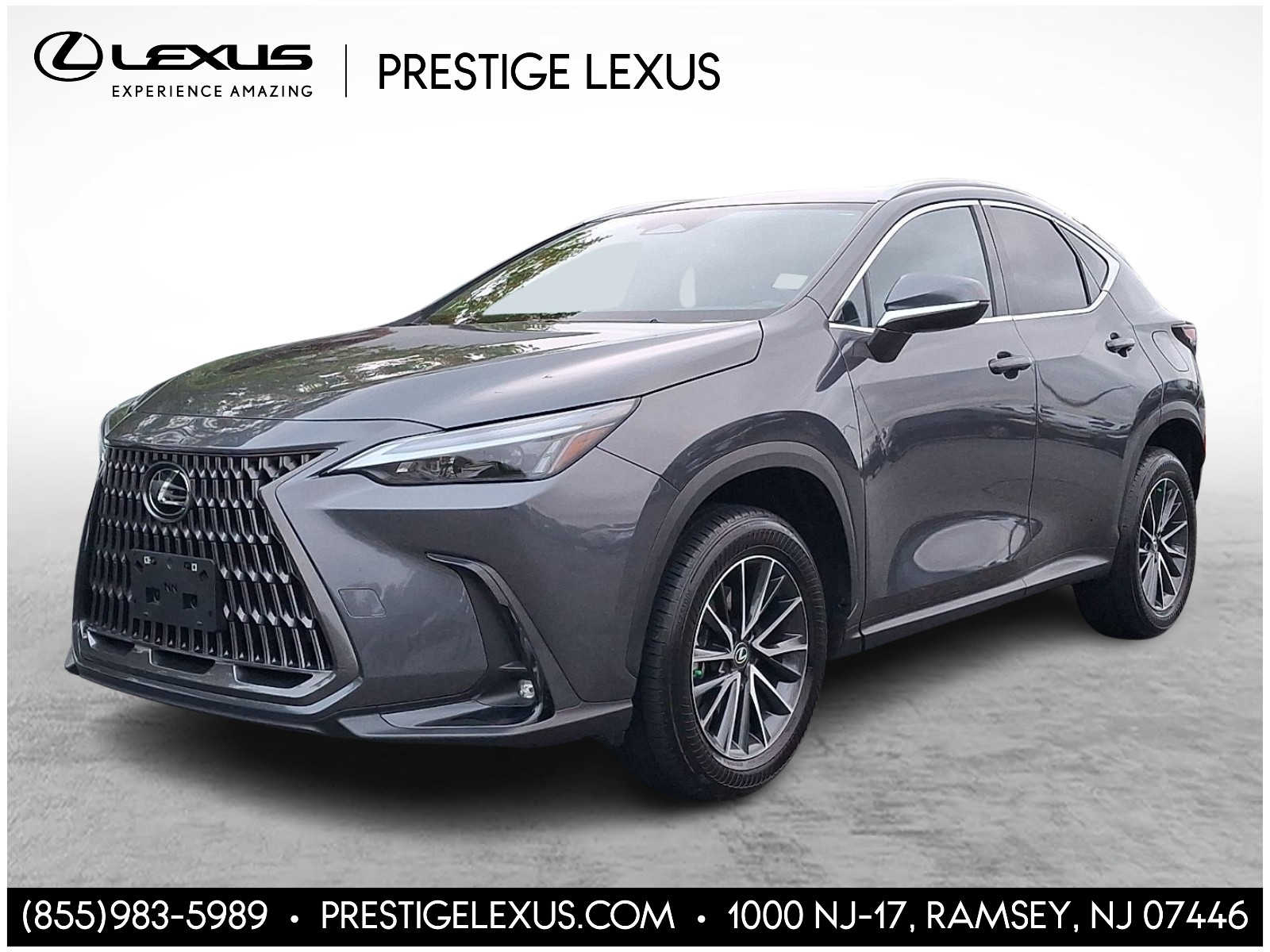 2024 Lexus NX