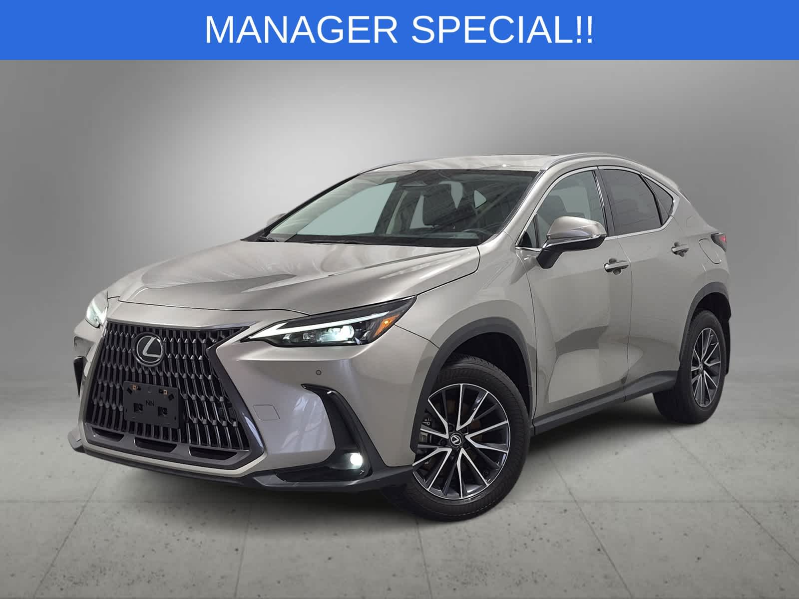 2024 Lexus NX