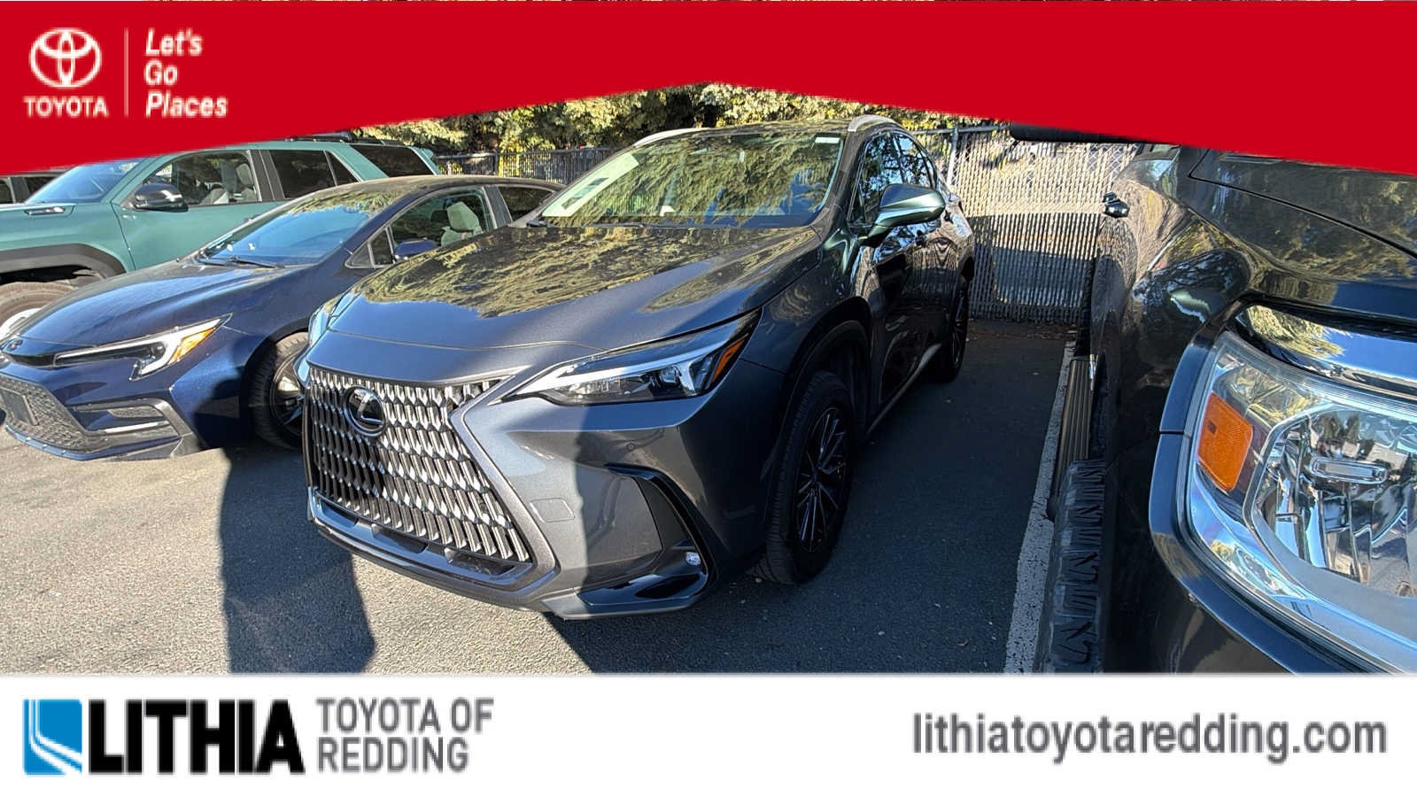 2024 Lexus NX