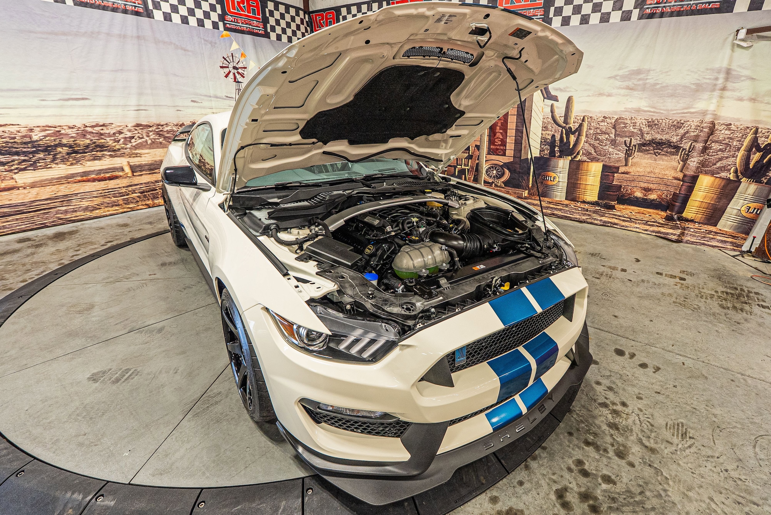 2020 Ford Mustang Shelby GT350 - Photo 13
