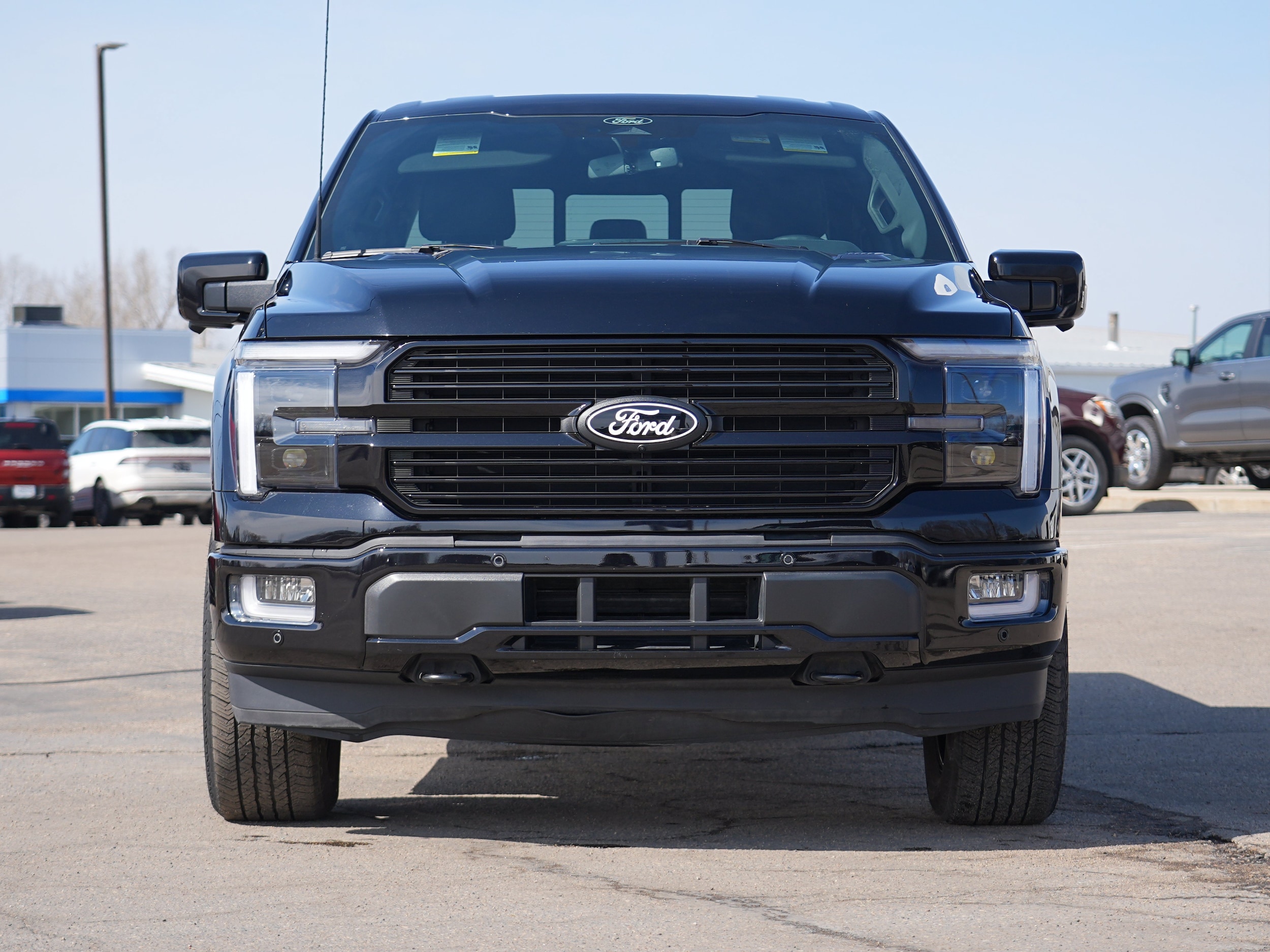 2025 Ford F-150 Platinum - Photo 9