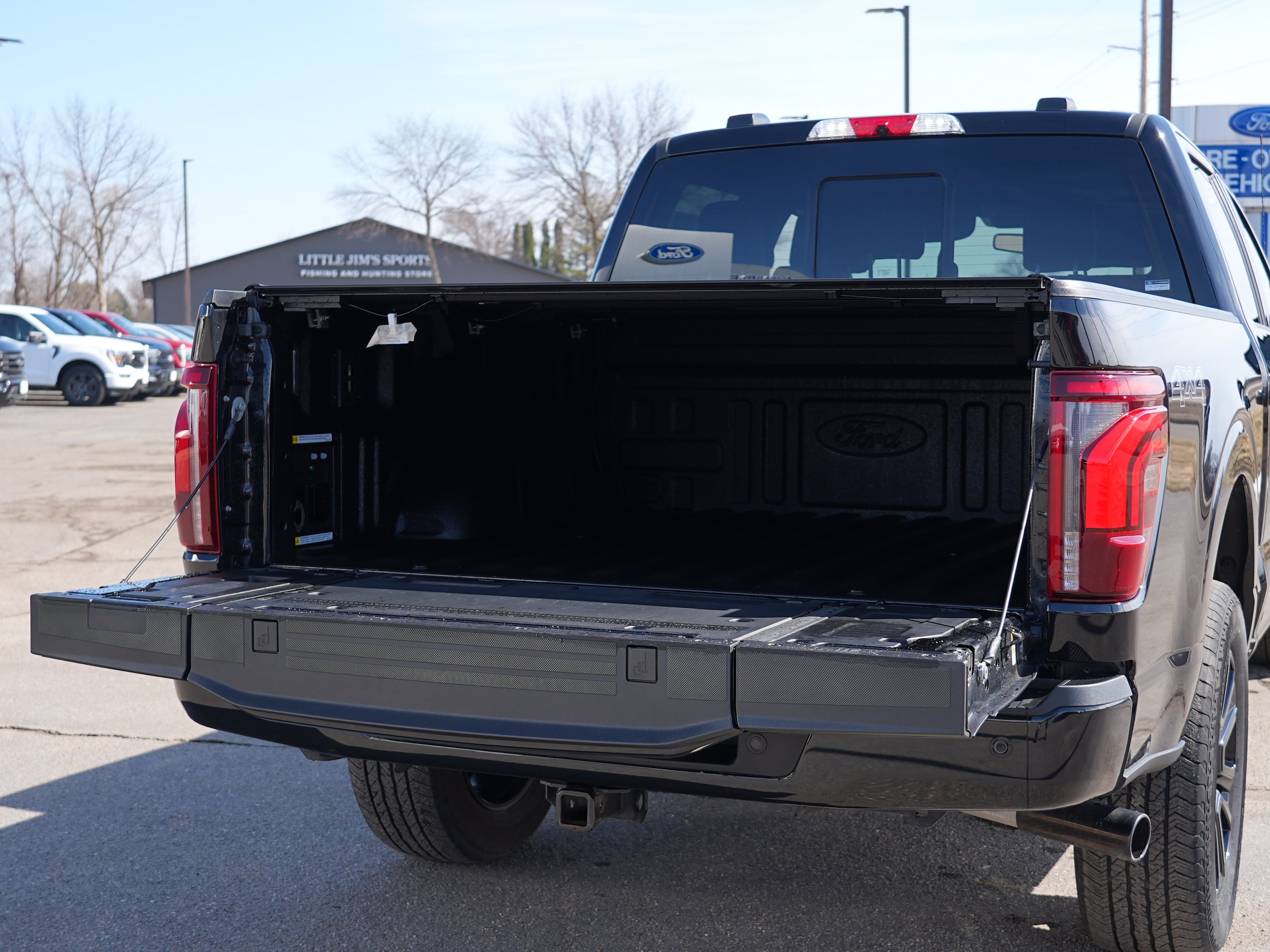 2025 Ford F-150 Platinum - Photo 14