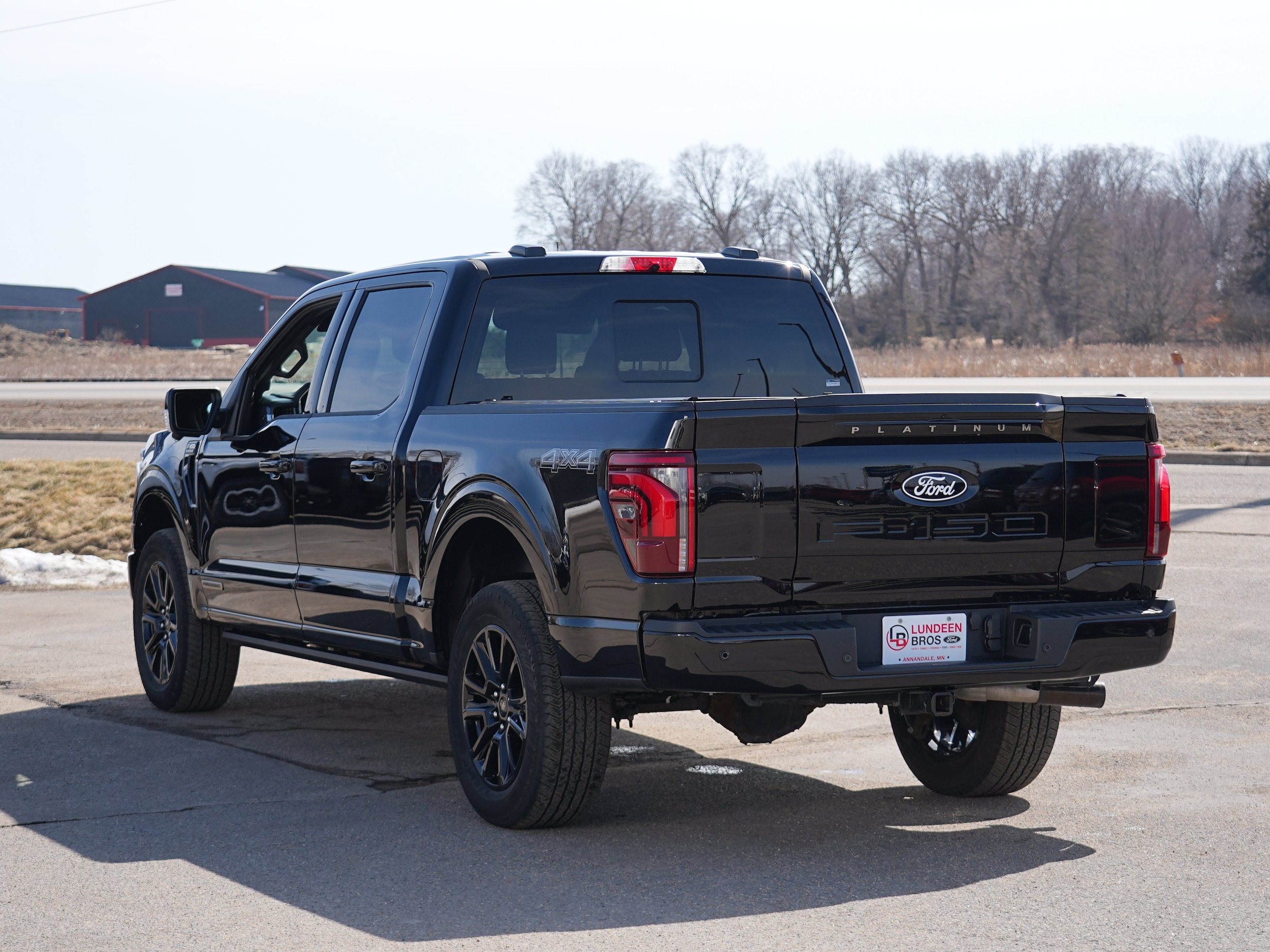 2025 Ford F-150 Platinum - Photo 6