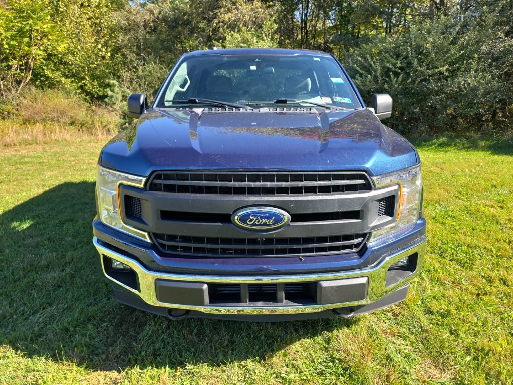 Used 2019 Ford F-150 XL Truck