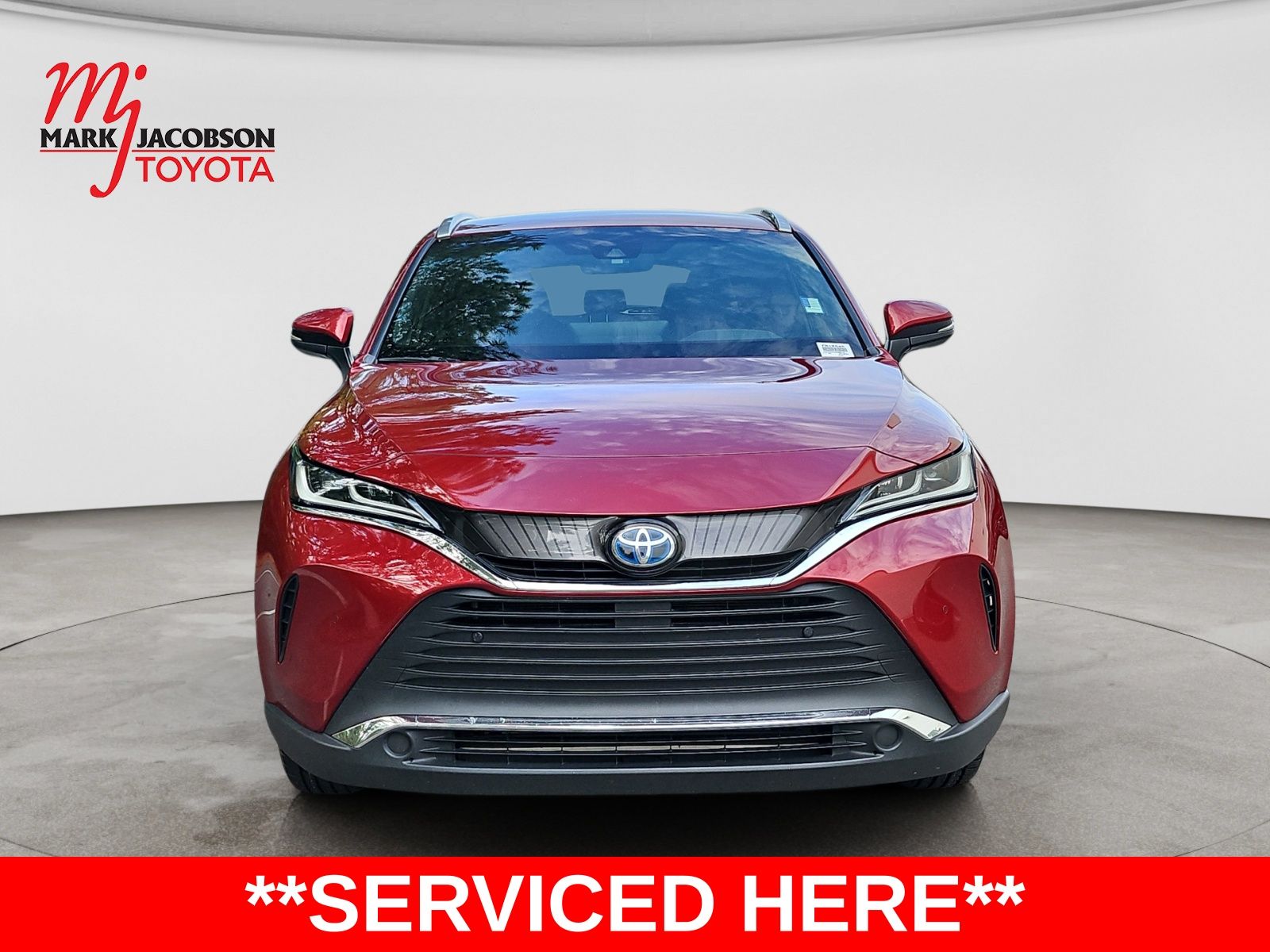 Used 2021 Toyota Venza XLE SUV