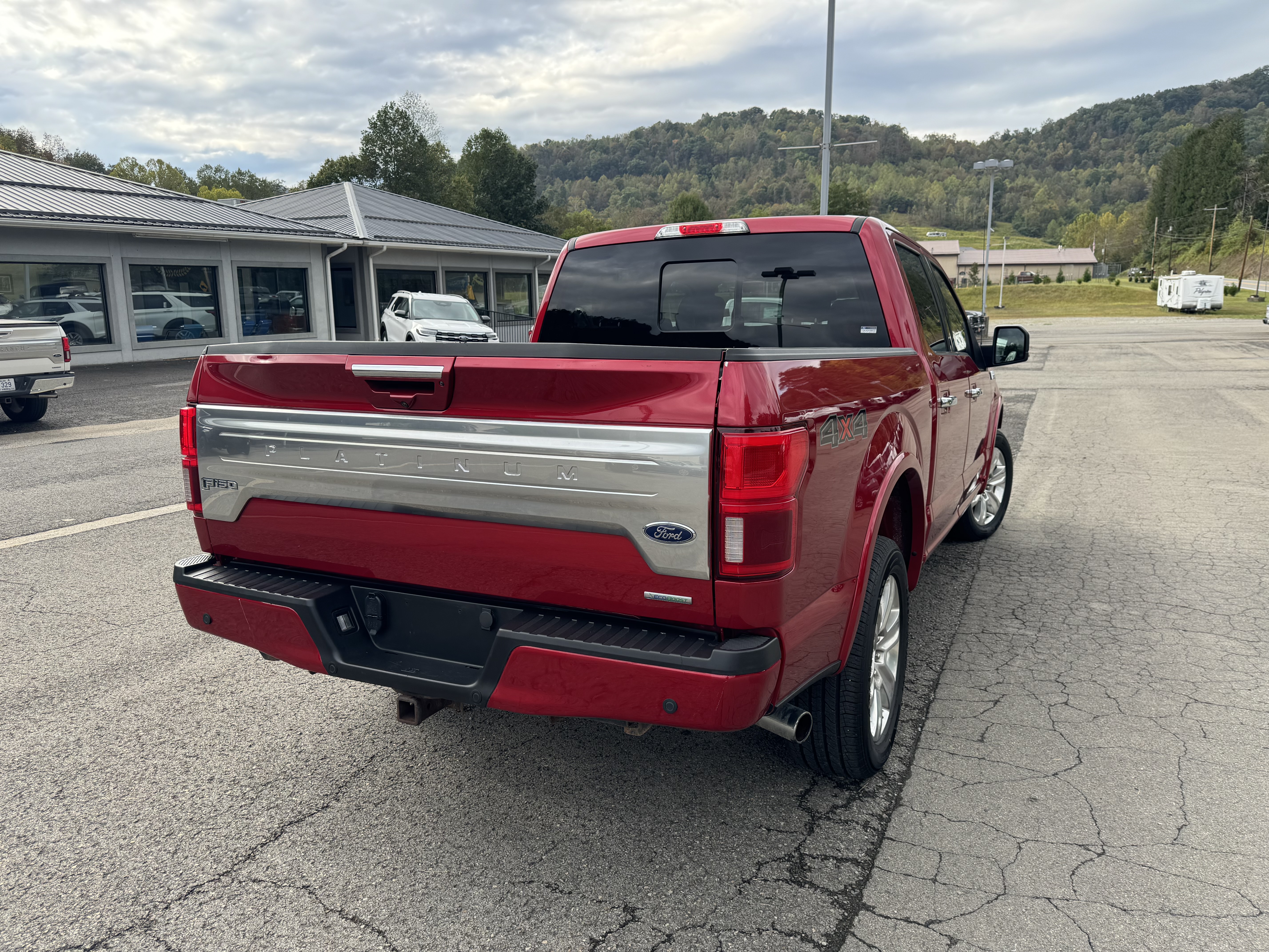 2020 Ford F-150 Platinum - Photo 8