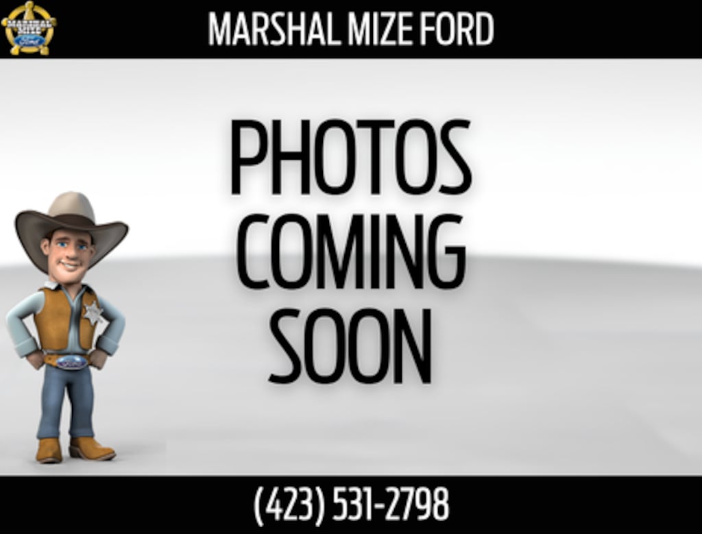 Used 2019 Ford F-150 XLT Truck