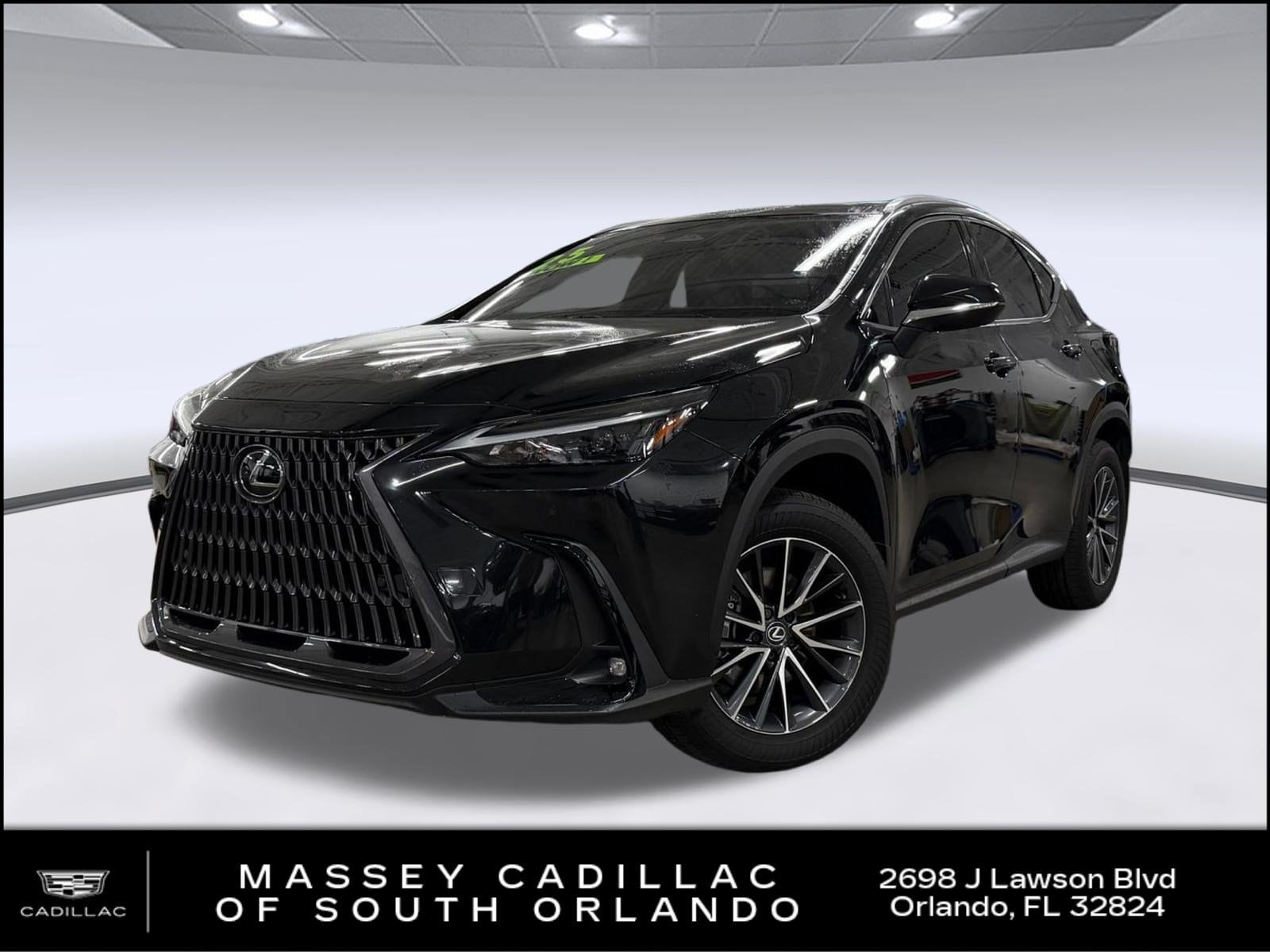 2025 LEXUS NX NX 250 Premium
