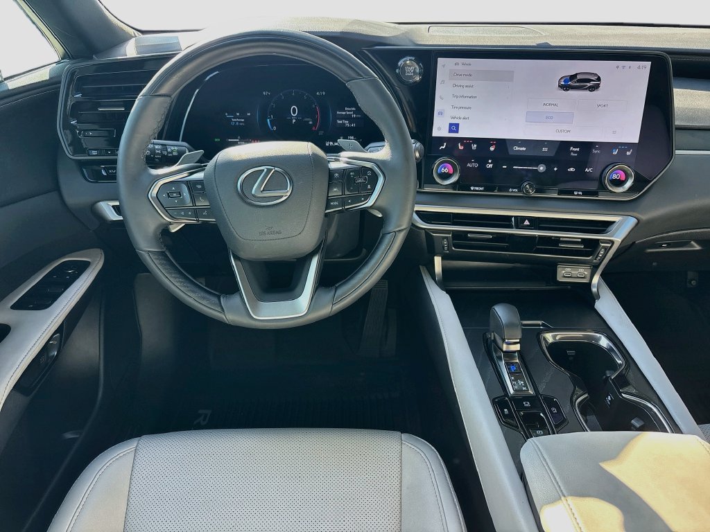 2025 Lexus RX 350 - Photo 22