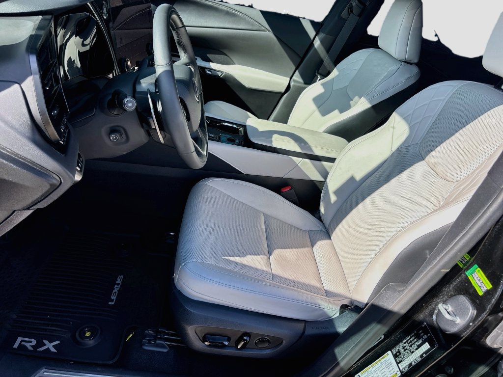2025 Lexus RX 350 - Photo 20