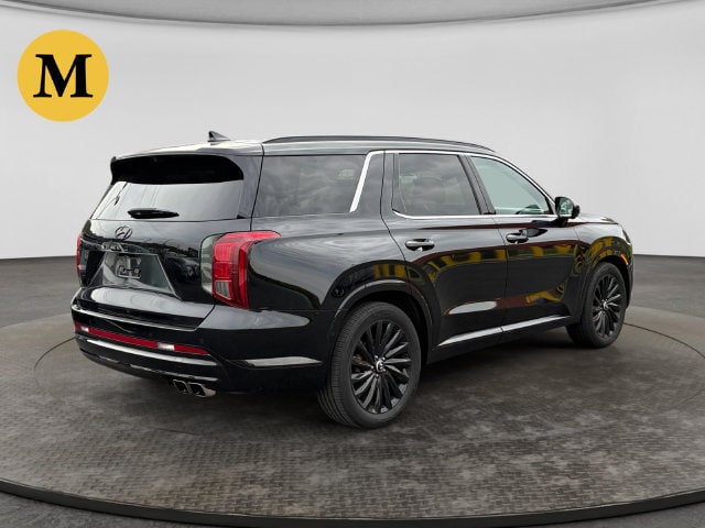 2024 Hyundai Palisade Calligraphy Night Edition - Photo 6